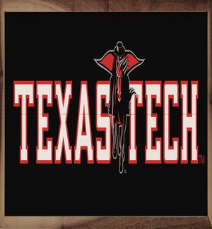 Horizontal Logo Texas Tech University